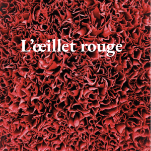 L’œillet rouge